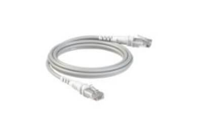 Câble RJ45 Pachlight fin 10Giga Gris 15.2m