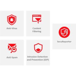 Licence 1 an UTM USGFLEX 700 + SecuReporter Premiu