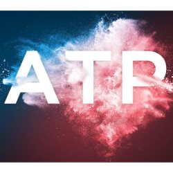 Licence 2 ans Pack Gold pour ATP800