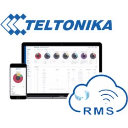 Teltonika RMS 6 mois /1 périphérique